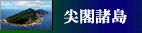 Japan-China Relations: Current Situations of the Senkaku Islands